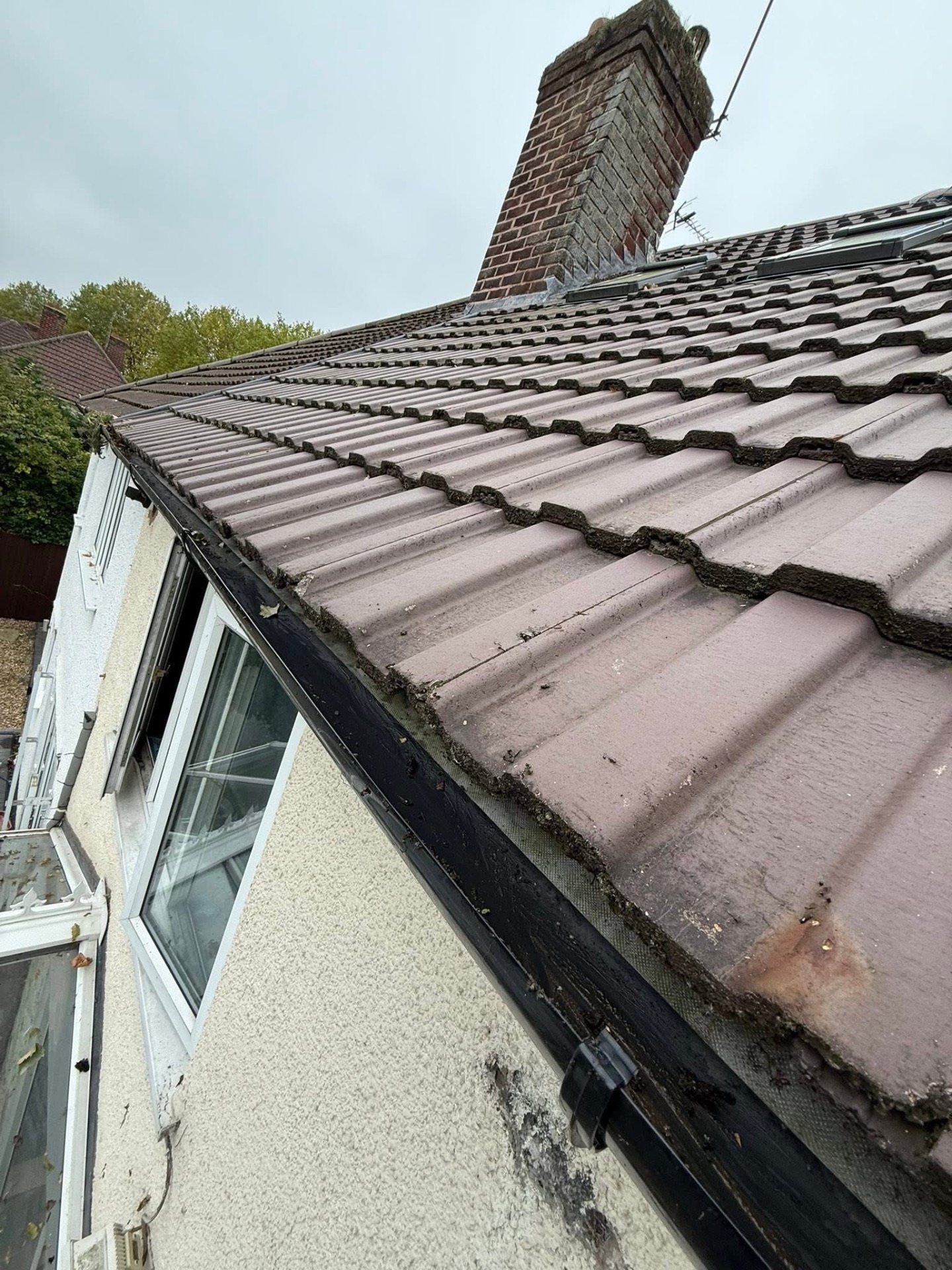 Gutter Cleaning — after