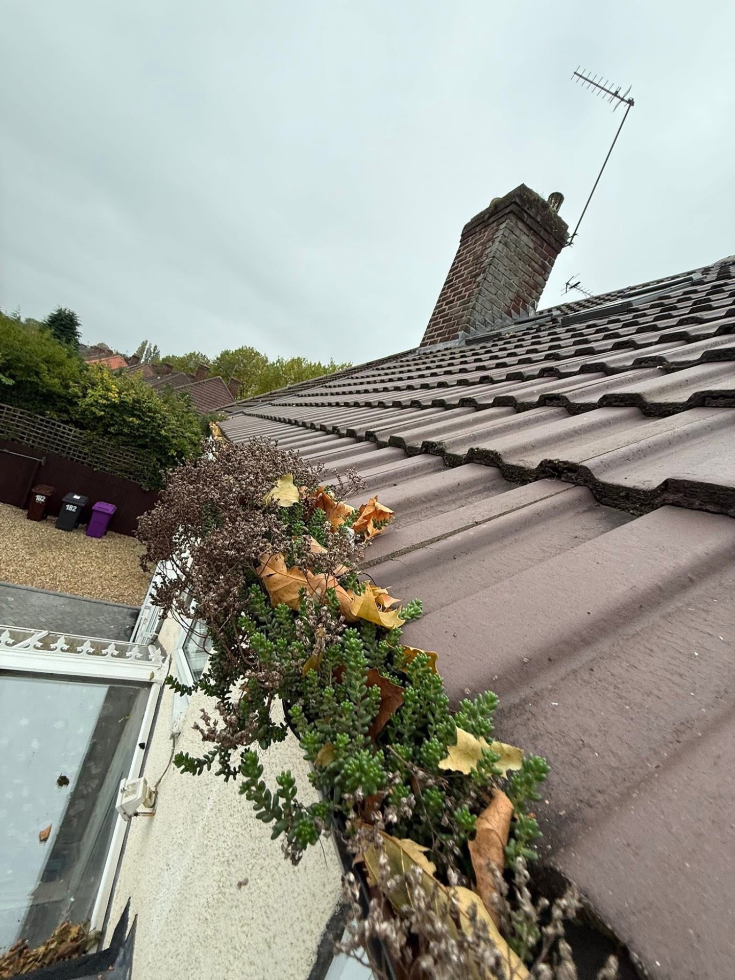 Gutter Cleaning — before